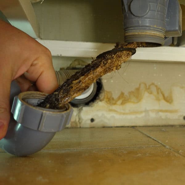 A bath drain blocked with hairs being cleared