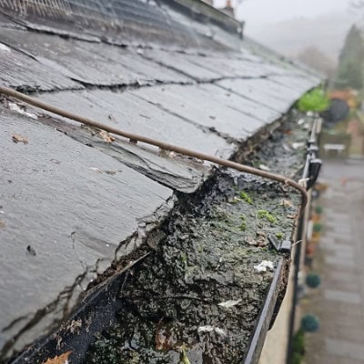 A blocked gutter in Buxton that needs to be cleaned by our gutter cleaners